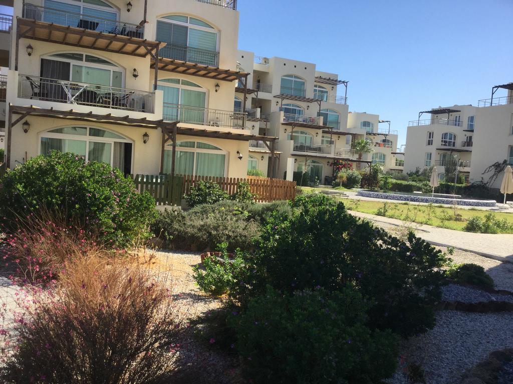 Aphrodite Beachfront Apartment Ghaziveran Extérieur photo